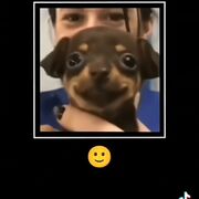 Frixnxx