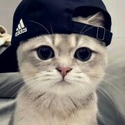 Sam