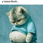 Flacolargo23