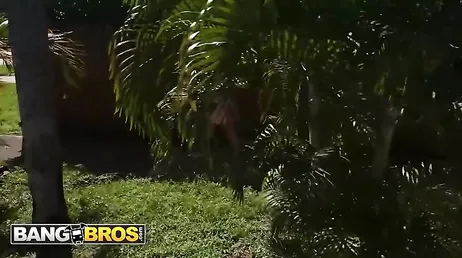 Un hombre quiere que suba a su furgoneta para tener sexo con él .., acepto?